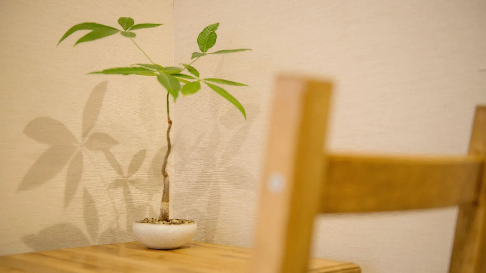 Denchi Tokyo - Guest House Denchi 4*,  Japan